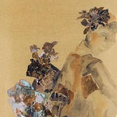 Yang Yang