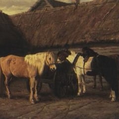 A Tjarkin