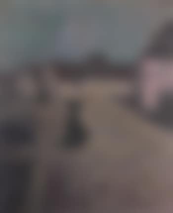 Night picture (preview)