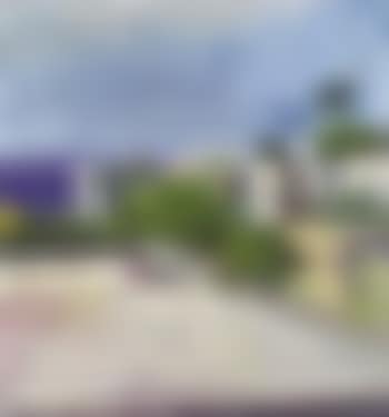 Landscape (preview)