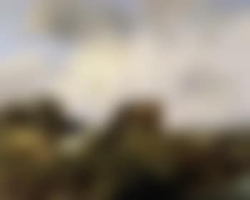 Landscape with sheep and goats (preview)