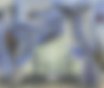 Le Ballet Imperial, Ballet Russes de Monte-Carlo, New York (preview)