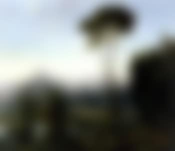 Exotic landscape (preview)