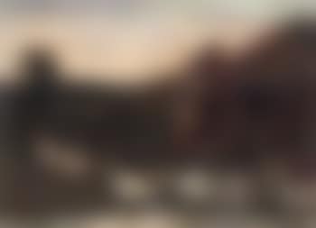 The goose girl (preview)
