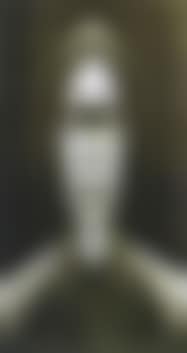 Imagomorphose d'Andre Breton (preview)