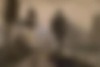 Foggy morning (preview)