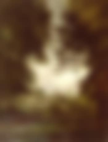 Pace (preview)