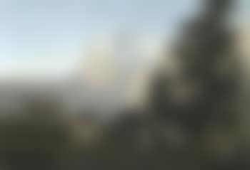 Three cows on an Alpine meadow with the Wetterhorn in background (preview)