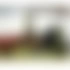 Painter and Critics (preview)