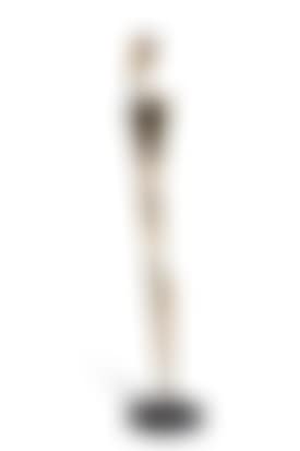 Nude female figure (preview)