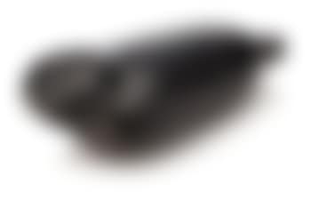 Seal Spirit? (preview)