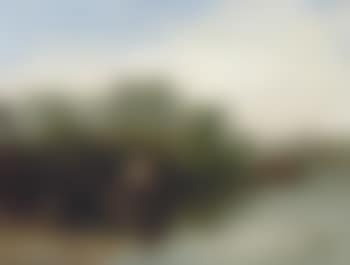 Boys fishing (preview)