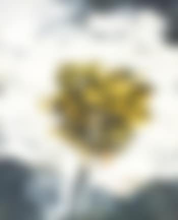 Autumn (preview)