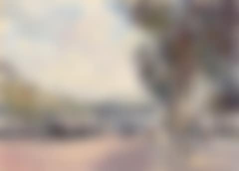 Household Cavalry in the Mall (preview)