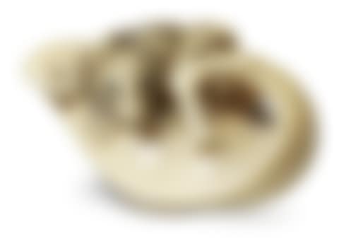 An ivory netsuke of a rat (preview)