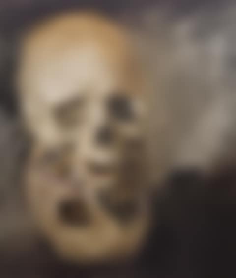 Skull on Mirror (preview)